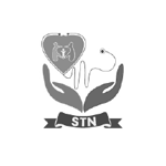 stn