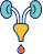 Kidney Stone Surgery Sign 2