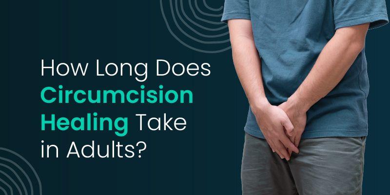 adult circumcision
