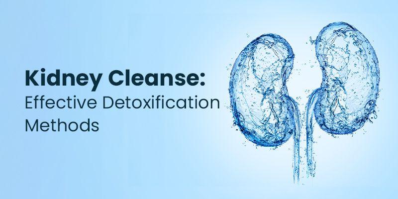 Kidney Cleanse: Effective Detoxification Methods