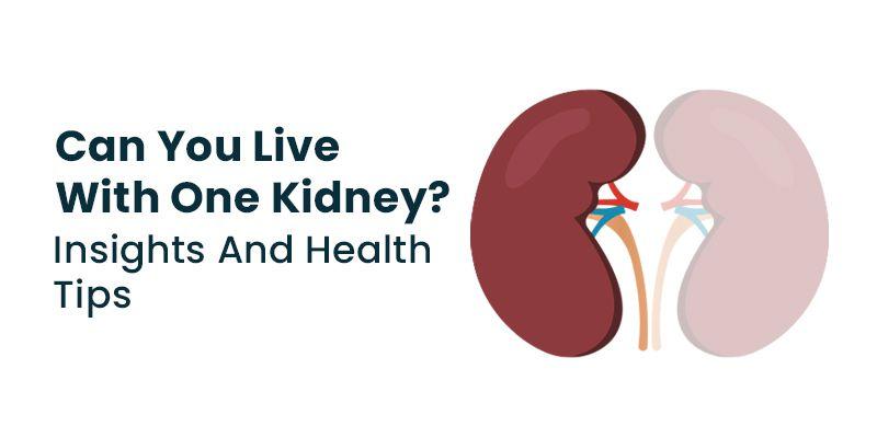 Can You Live with One Kidney? Insights and Health Tips