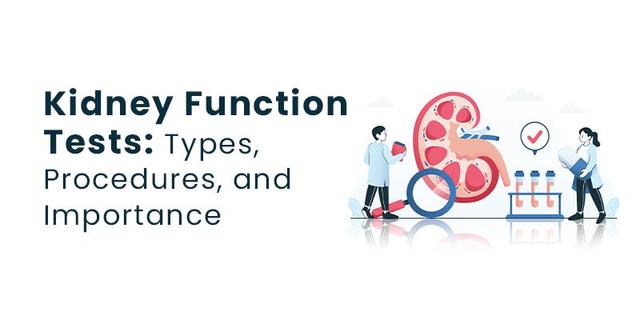 kidney-function-tests-types-procedures-and-importance