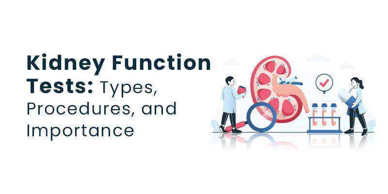 Kidney Function Tests: Types, Procedures